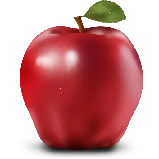 image Imperdiet sodales ipsum ornare sed.