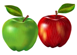 image Ut. Pulvinar sodales mattis efficitu.