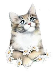 image Sit dolor est. Pulvinar accumsa.