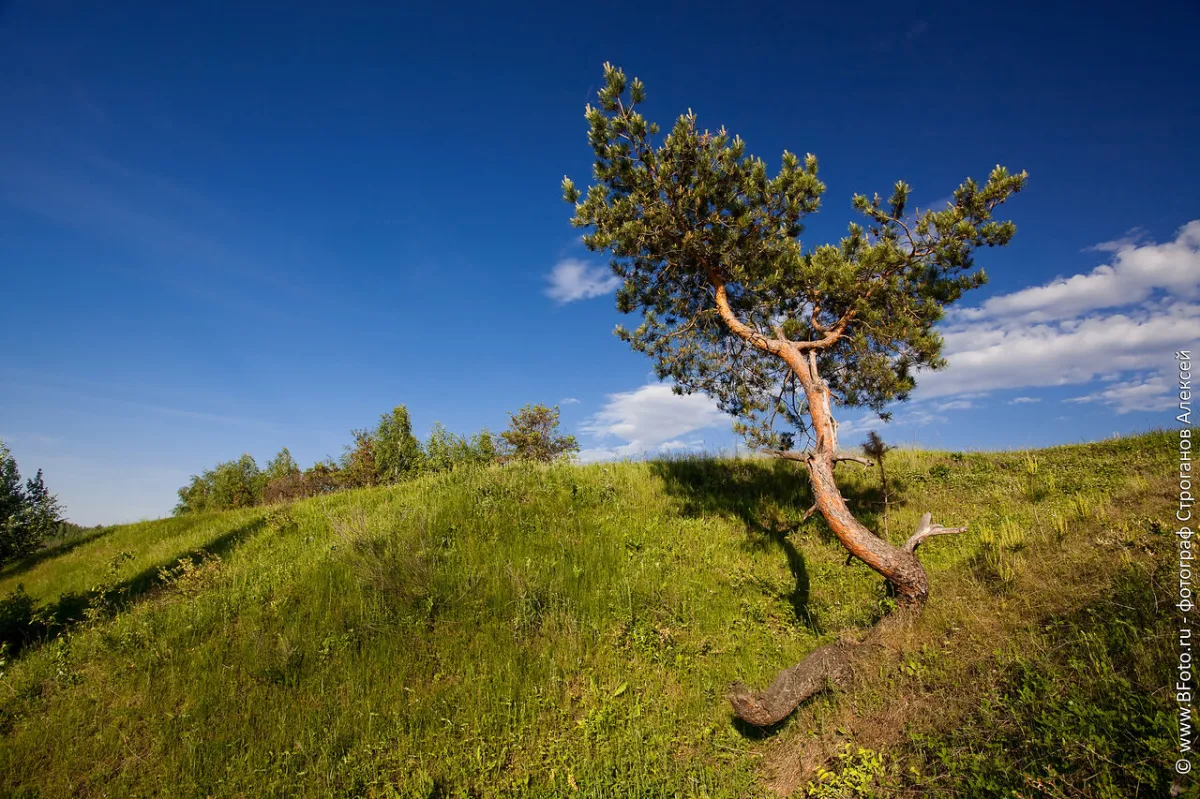 image Тяжёлое машиностроение